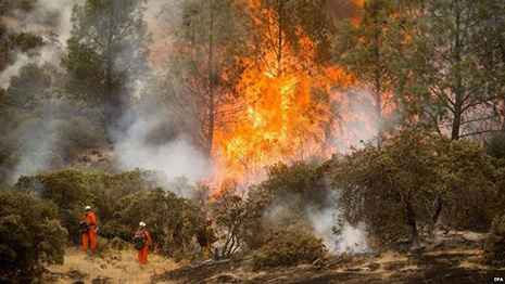 California fires: Firefighters struggle to contain blaze